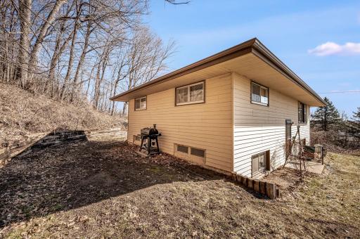 48050 Belgrade Township 193 St Peter MN-12.jpg