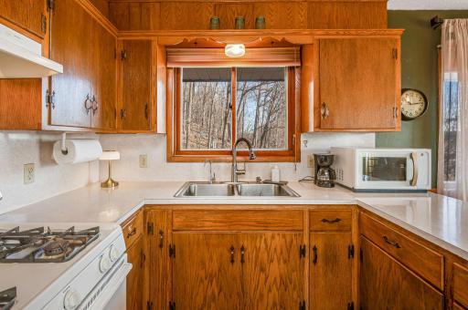 48050 Belgrade Township 193 St Peter MN-28.jpg