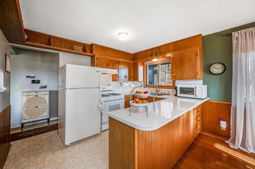 48050 Belgrade Township 193 St Peter MN-27.jpg