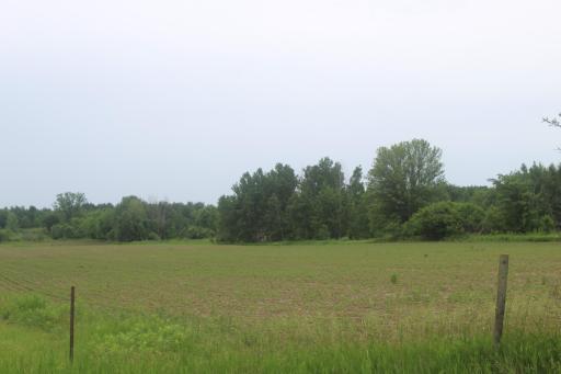TBD-1 120th Avenue, Ogilvie, MN 56358