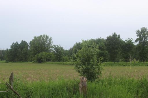 TBD-1 120th Avenue, Ogilvie, MN 56358