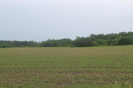 TBD-1 120th Avenue, Ogilvie, MN 56358