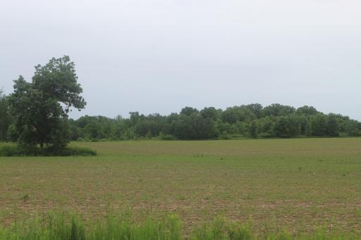 TBD-1 120th Avenue, Ogilvie, MN 56358