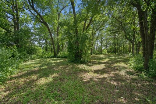 3459 166th Ln NW - 2.5 Acres with Cleared Trails / Paths