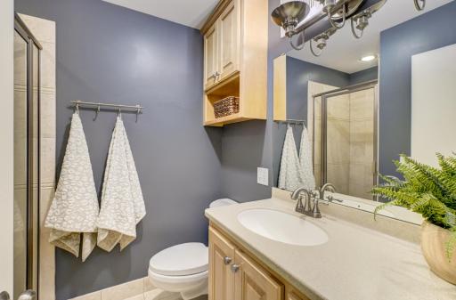 19 Dove Lane, North Oaks, MN 55127