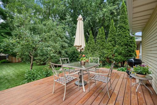 576 Phelps Street, Owatonna, MN 55060