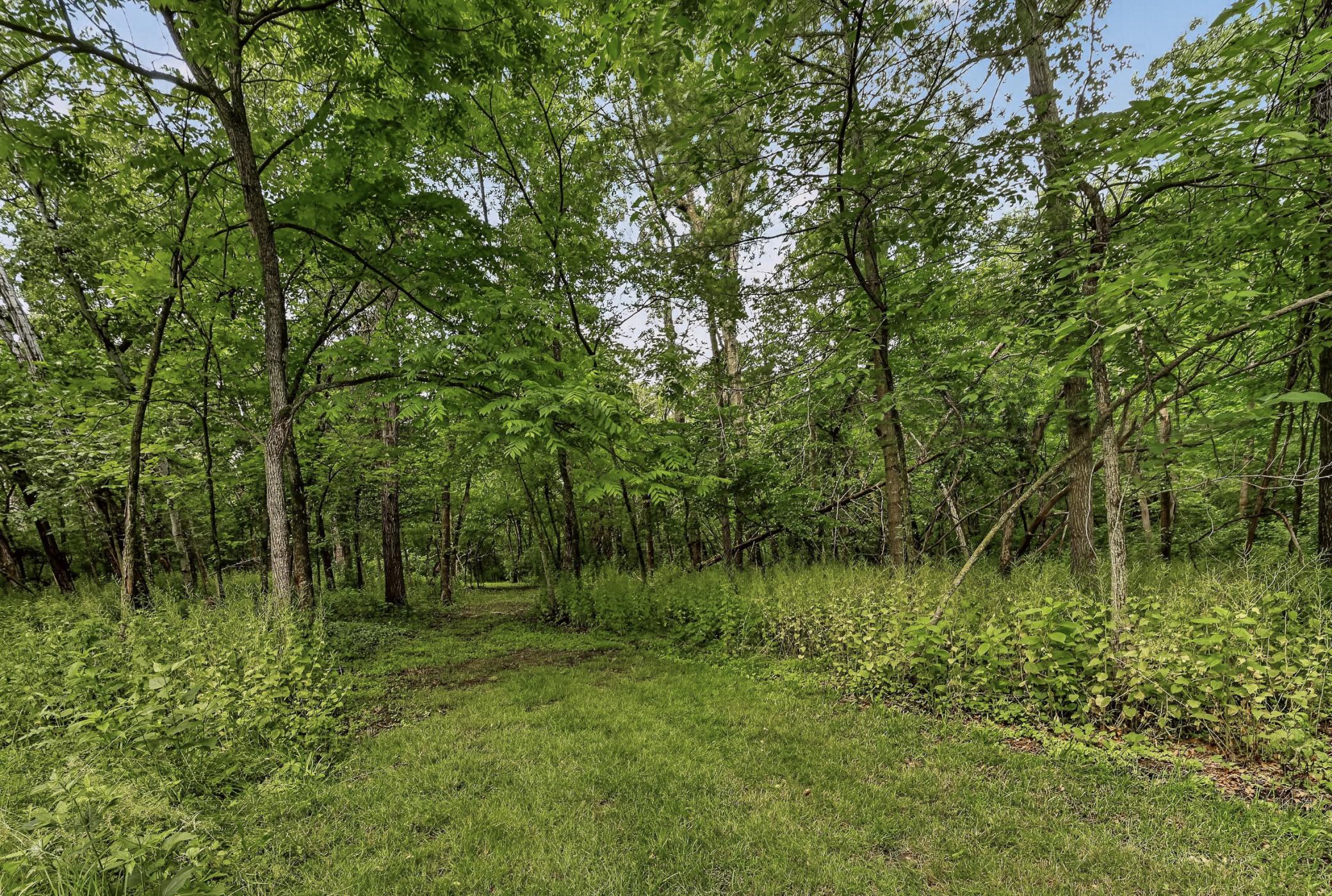 DSC_5635.jpg