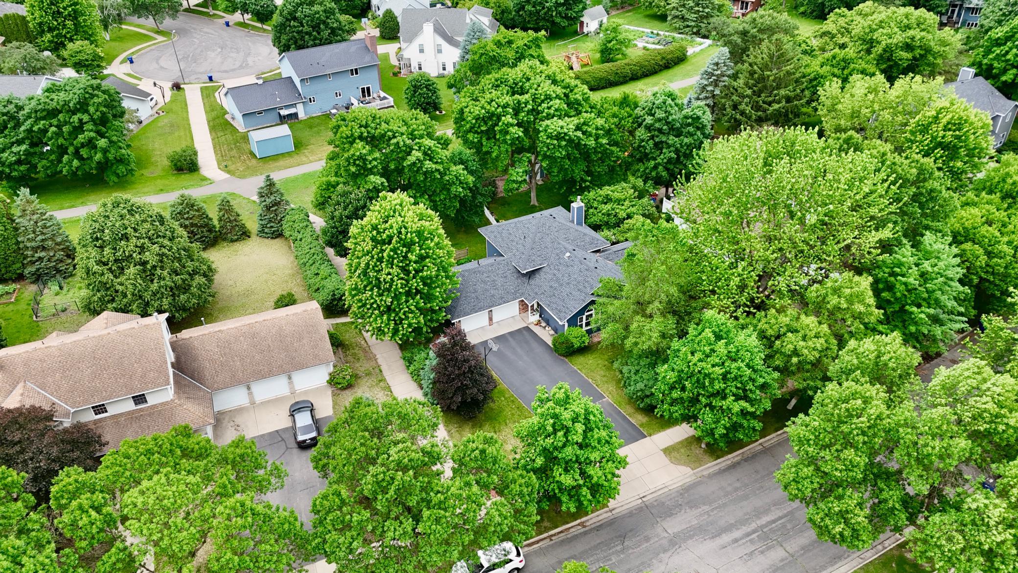 DJI_20260611131317_0943_D.JPG