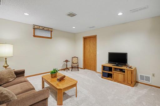 Lower level family room with access to storage room.