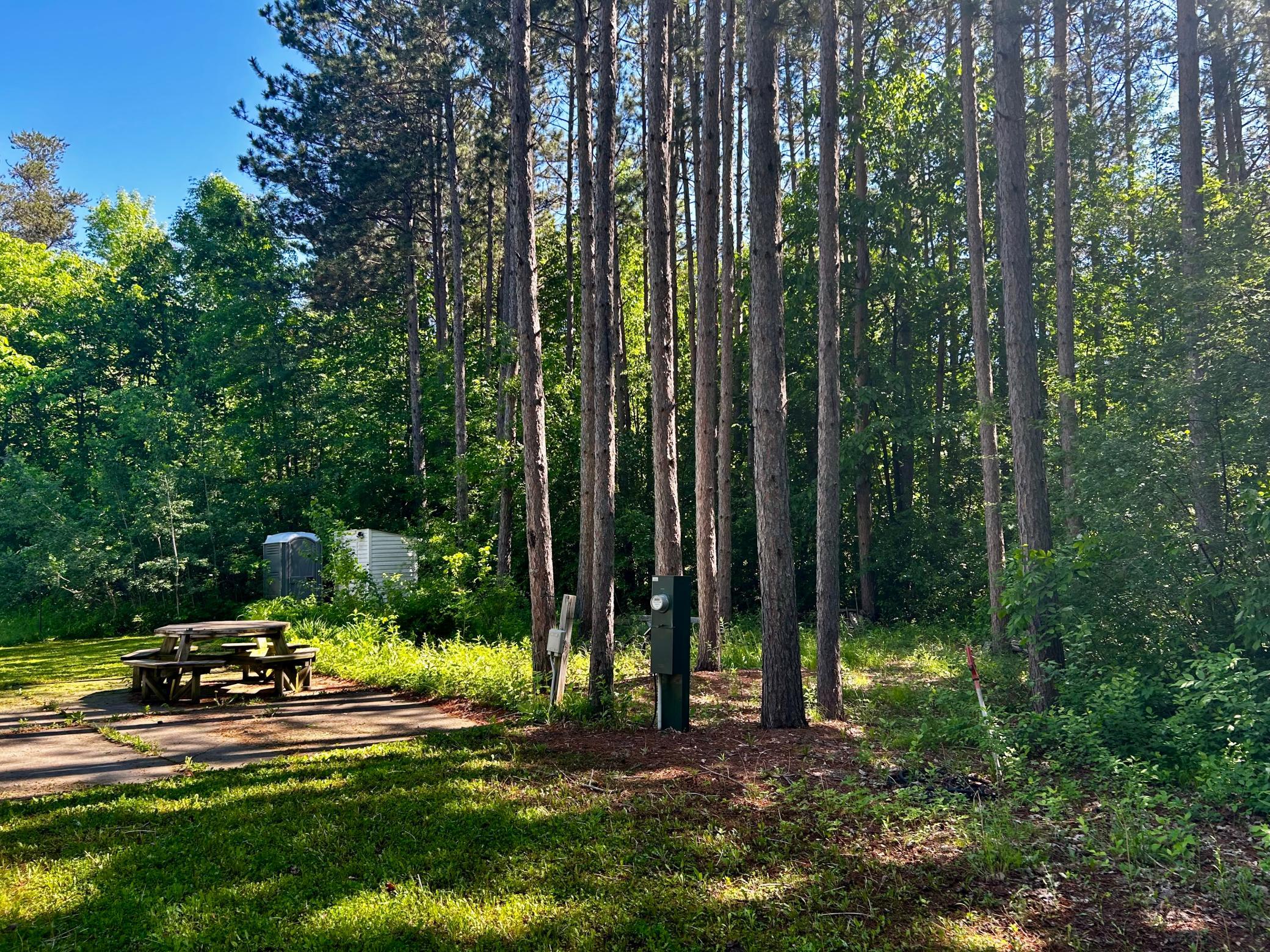 Wooded lot - Outdoor picnic and eating/gathering area