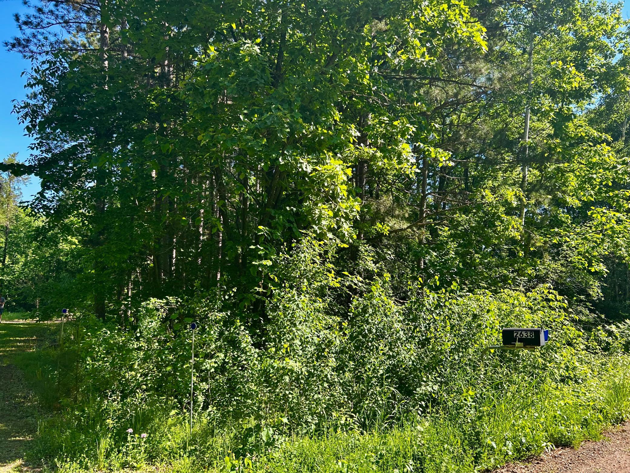 Wooded lot - Mail service is available