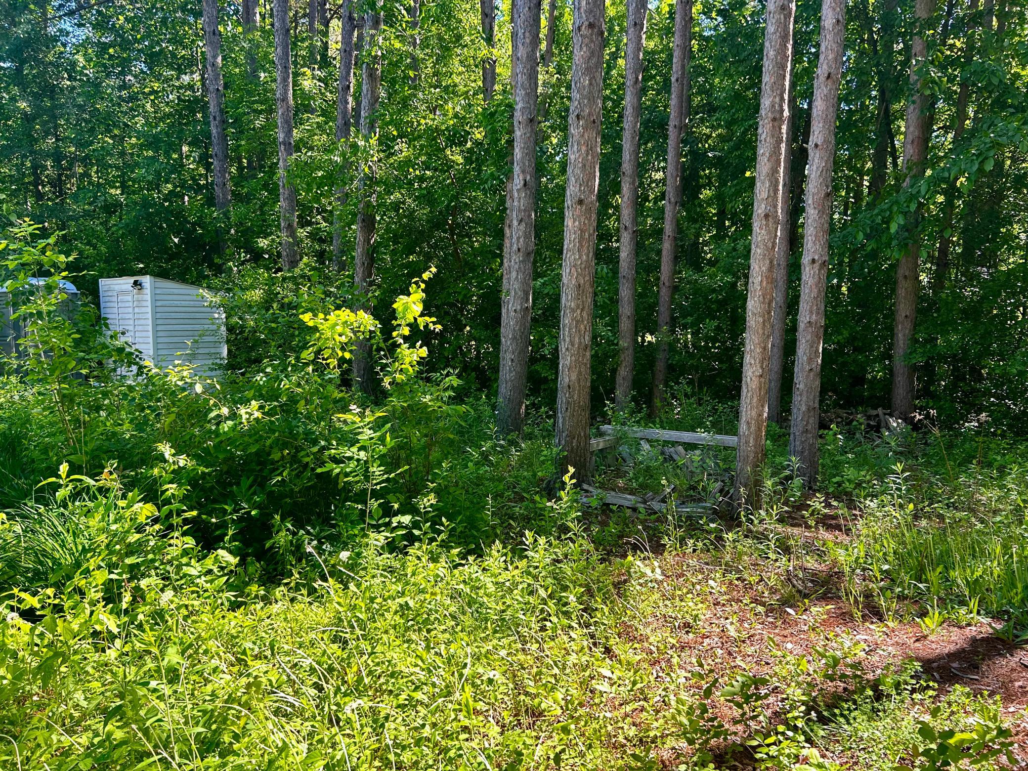 Wooded lot - Enjoy all that nature has to offer