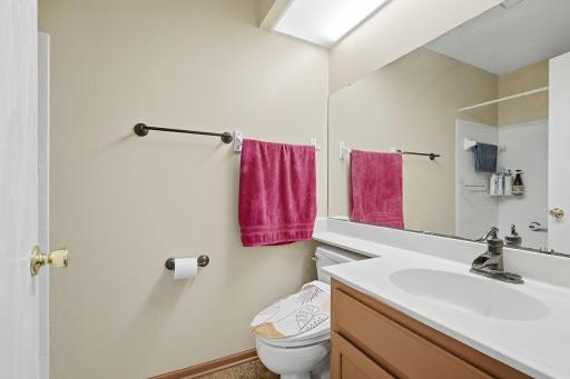 31-web-or-mls-4301_144th_St_Savage_MN_030.jpg