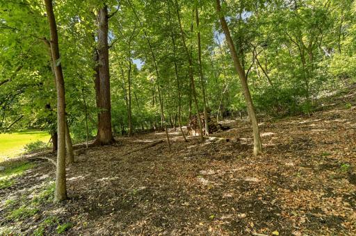 1321 Woodland Drive SW, Rochester, MN 55902