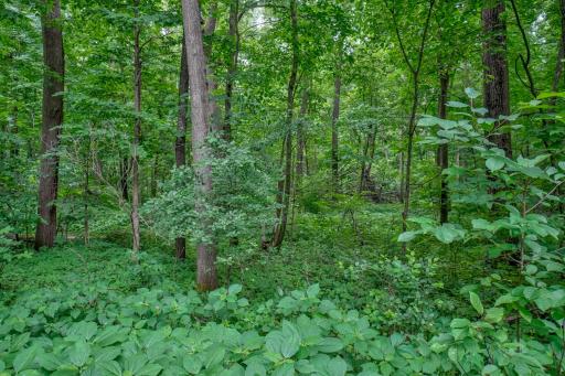 N8554 1205th Street, River Falls, WI 54022