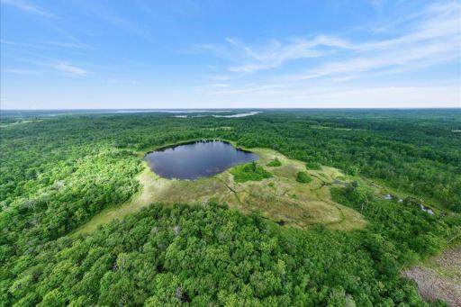4608 State 371 NW, Hackensack, MN 56452