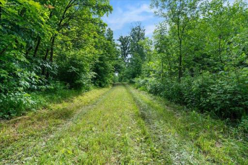 4608 State 371 NW, Hackensack, MN 56452