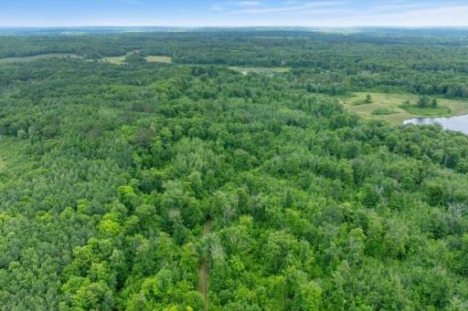 4608 State 371 NW, Hackensack, MN 56452