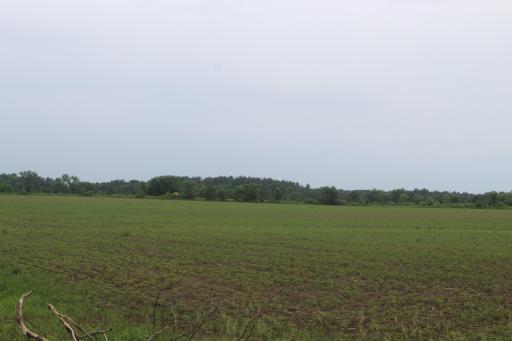 1021 120th Avenue, Ogilvie, MN 56358