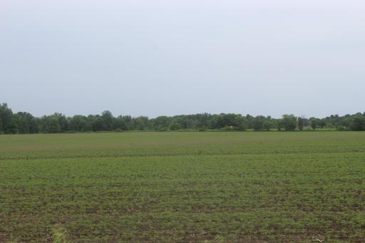 1021 120th Avenue, Ogilvie, MN 56358