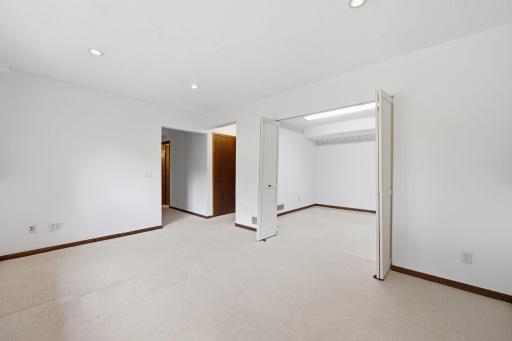 Lower level family room and flex room.