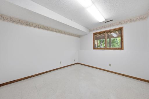 Lower level flex room.