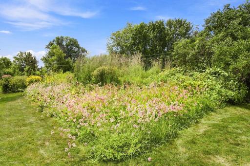 Native, pollinator gardens!