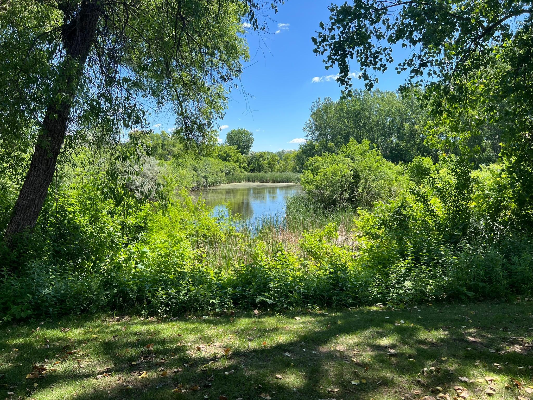 Wonderful private setting backing up to nature preserve.