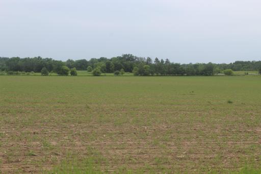 TBD-2 120th Avenue, Ogilvie, MN 56358