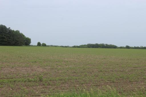 TBD-2 120th Avenue, Ogilvie, MN 56358