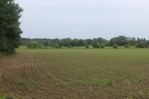 TBD-2 120th Avenue, Ogilvie, MN 56358