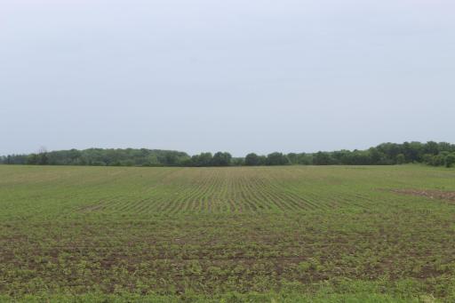 TBD-2 120th Avenue, Ogilvie, MN 56358