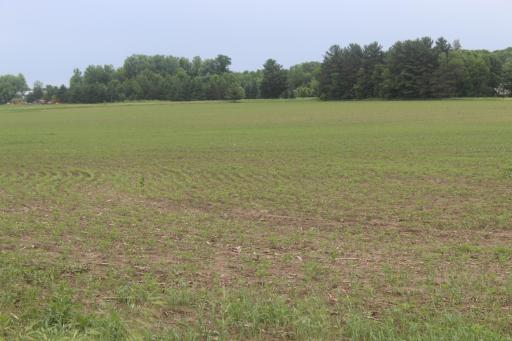 TBD-2 120th Avenue, Ogilvie, MN 56358