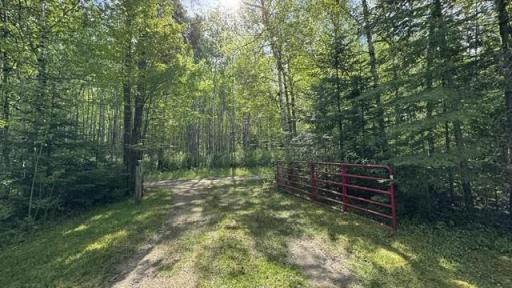 60905 Bearville Trail, Cook, MN 55723