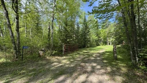 60905 Bearville Trail, Cook, MN 55723