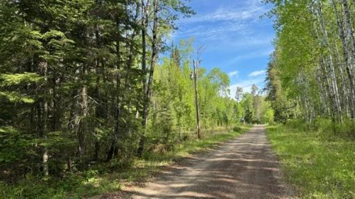 60905 Bearville Trail, Cook, MN 55723