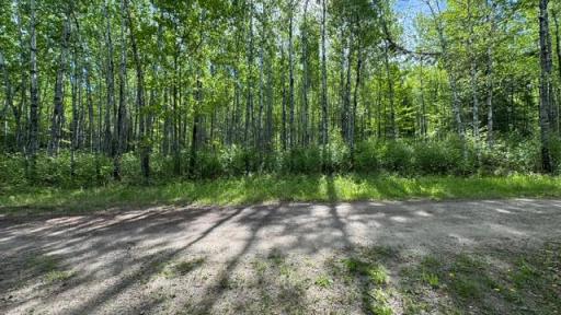 60905 Bearville Trail, Cook, MN 55723
