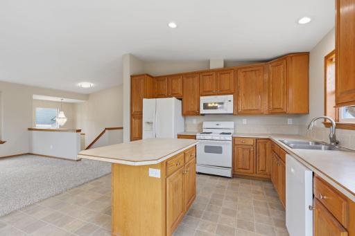 808 Cologne Lane, Waverly, MN 55390
