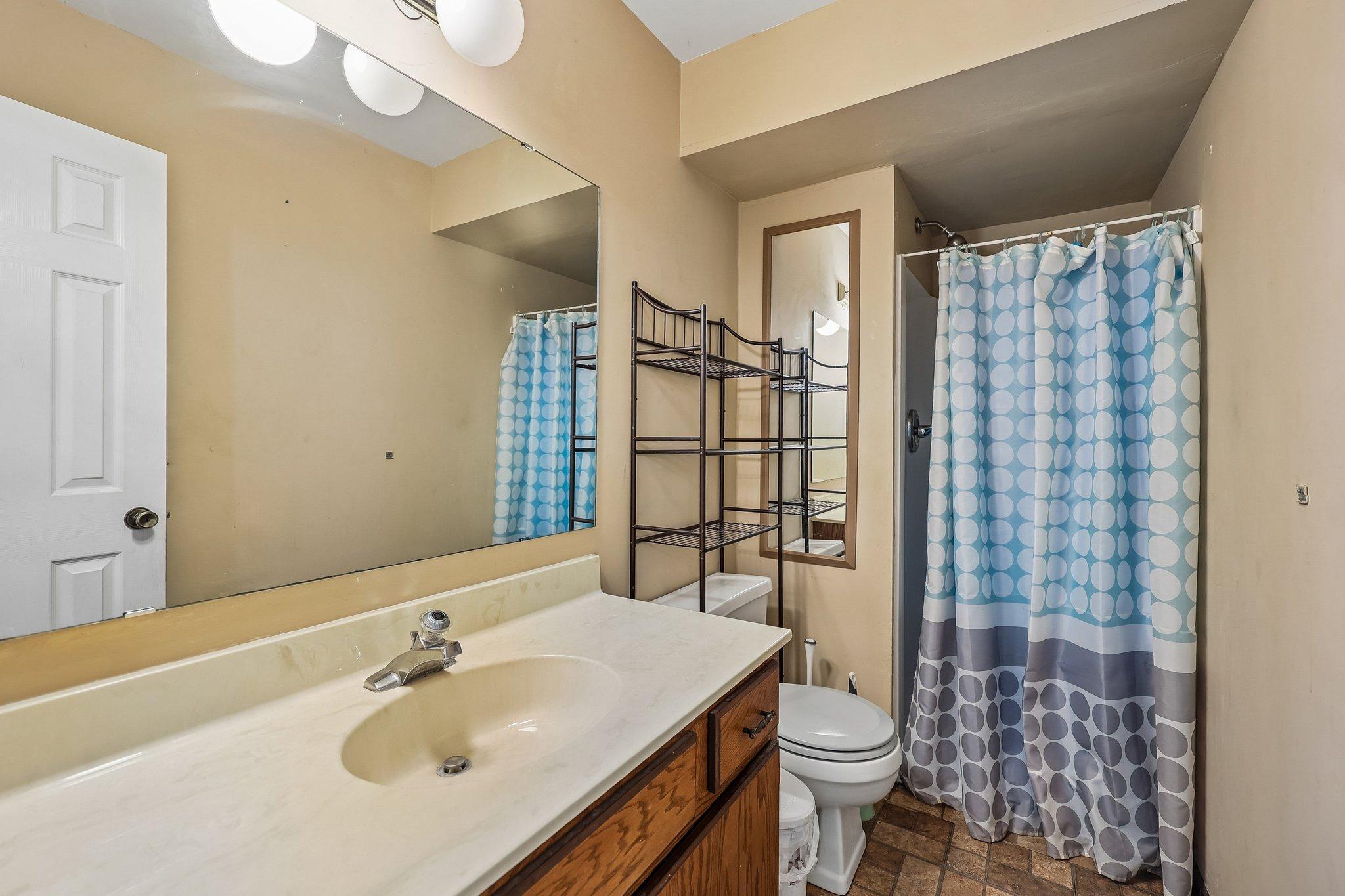 Lower Level Bathroom