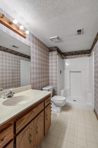10770 Linwood Forest Drive, Champlin, MN 55316