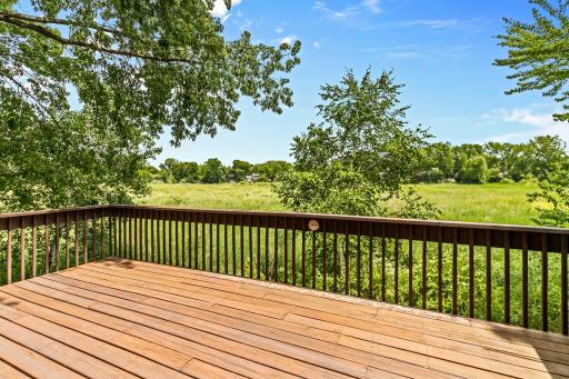 The deck overlooking a wild life area. No Neighbors behind you!