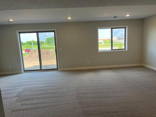 Finished lower level on a walk-out lot