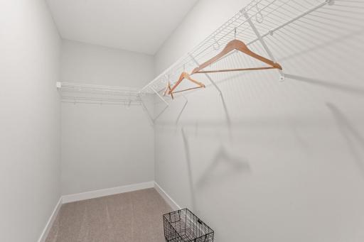 Owner's closet