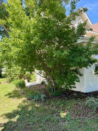 801 Mechanic Street, Edgerton, MN 56128