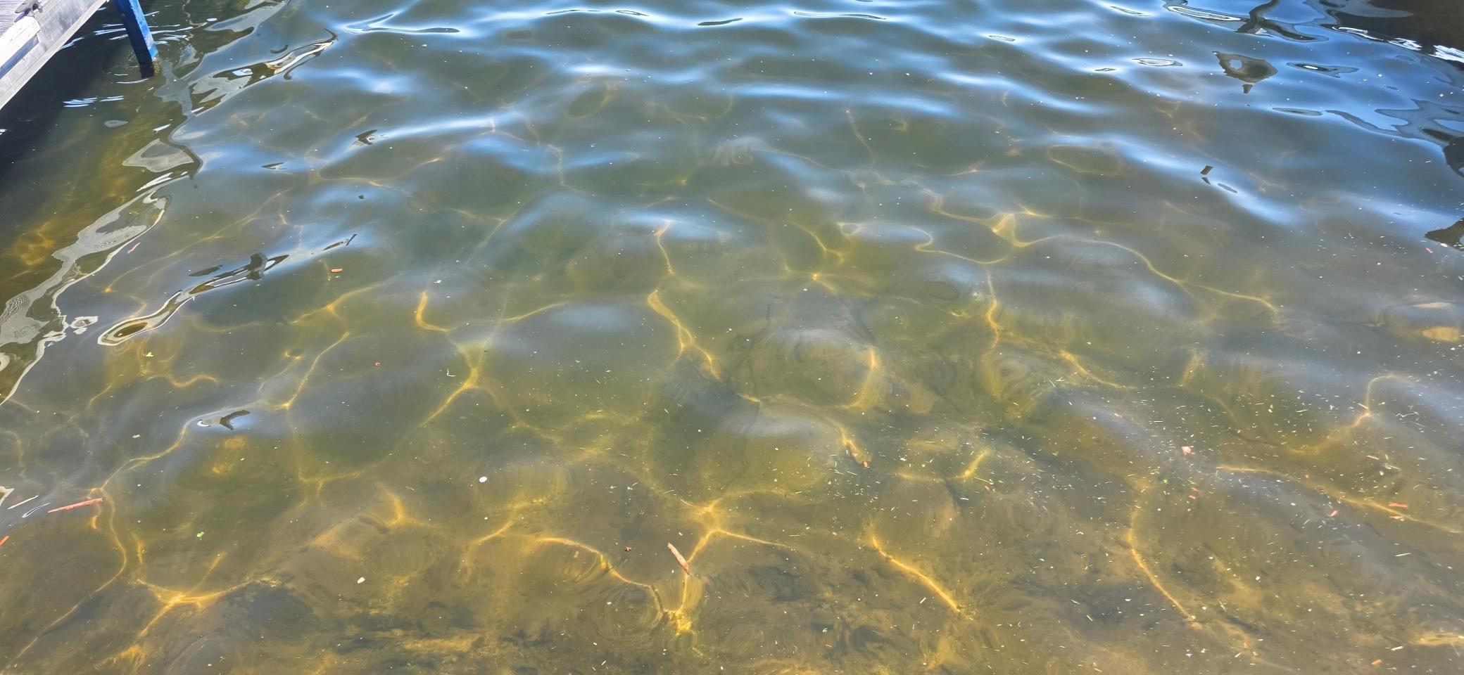 Picture 8.jpg