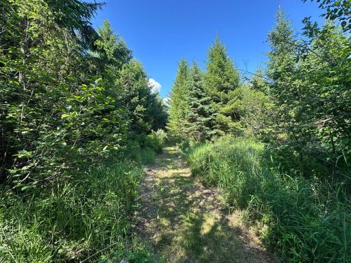 TBD State Highway 23, Sandstone, MN 55072