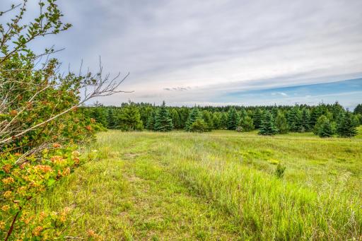 1320 Whiting Road NW, 39, Bemidji, MN 56601