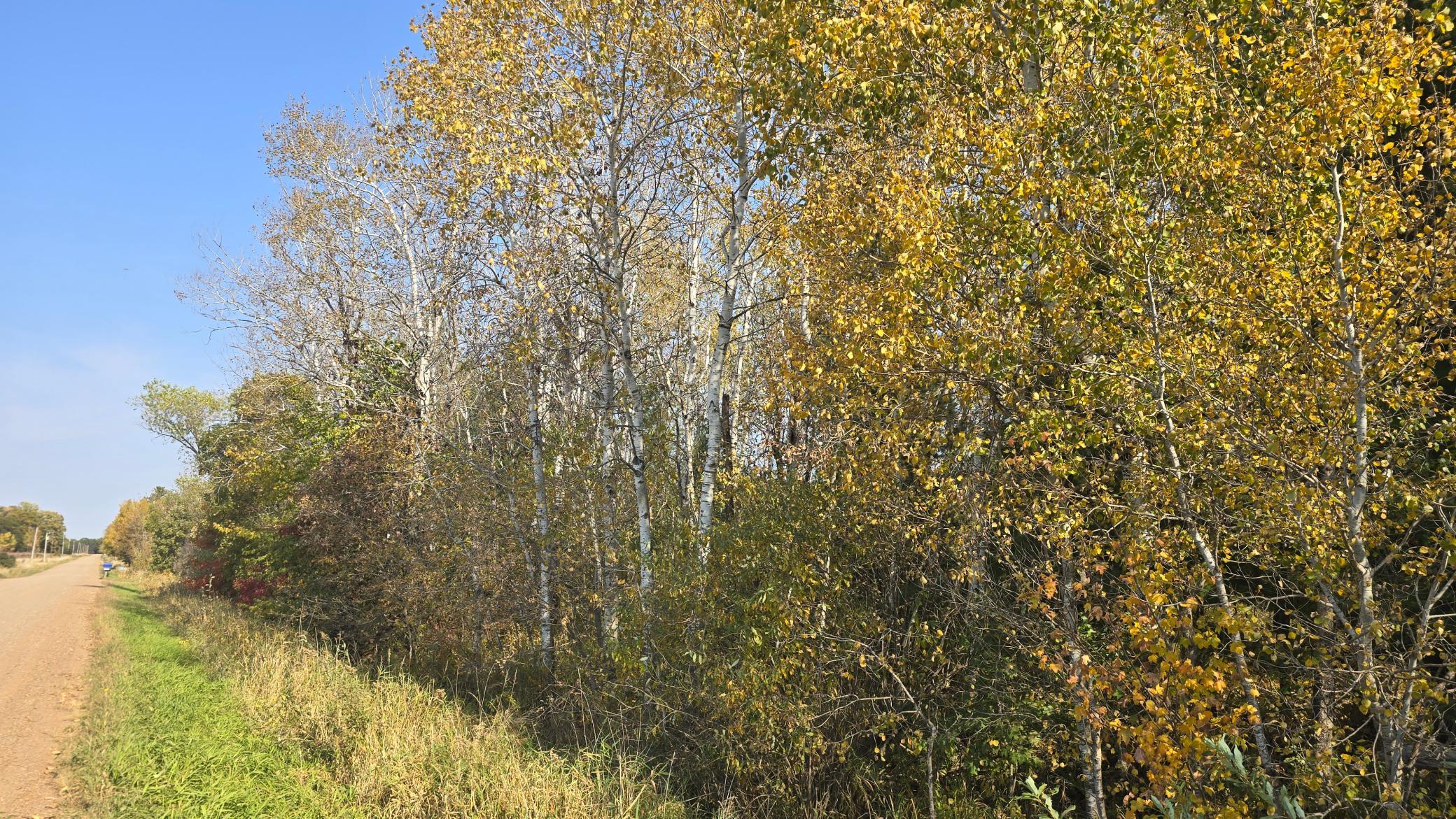 20241010_122906.jpg