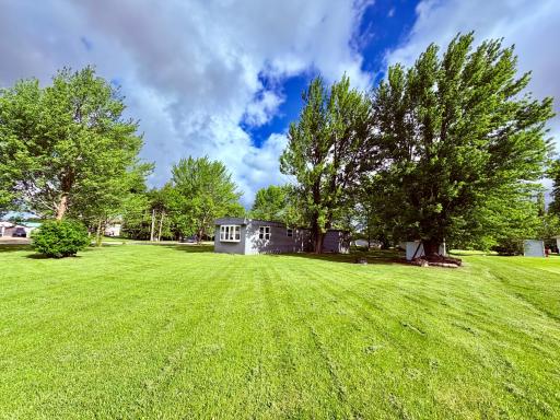 HUGE yard!