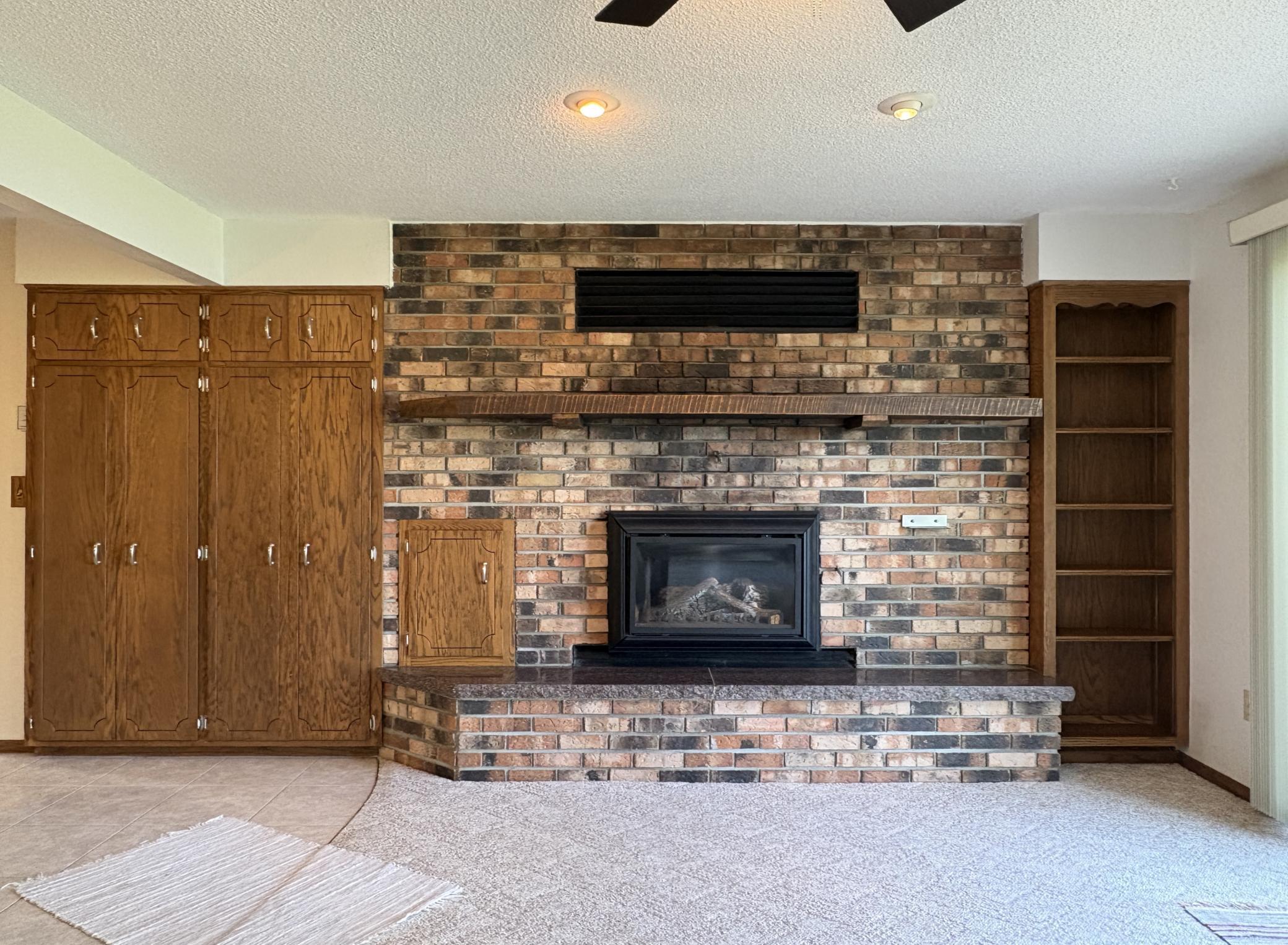 Propane Fireplace.JPG